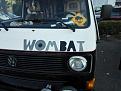 Wombat - Auto